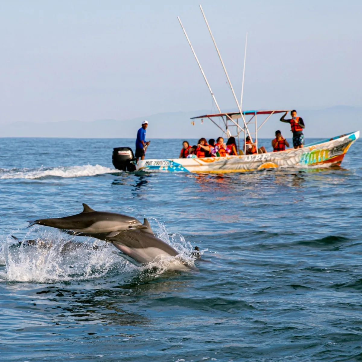 Puerto Escondido Beaches & Marine Life — photo 1 of 12