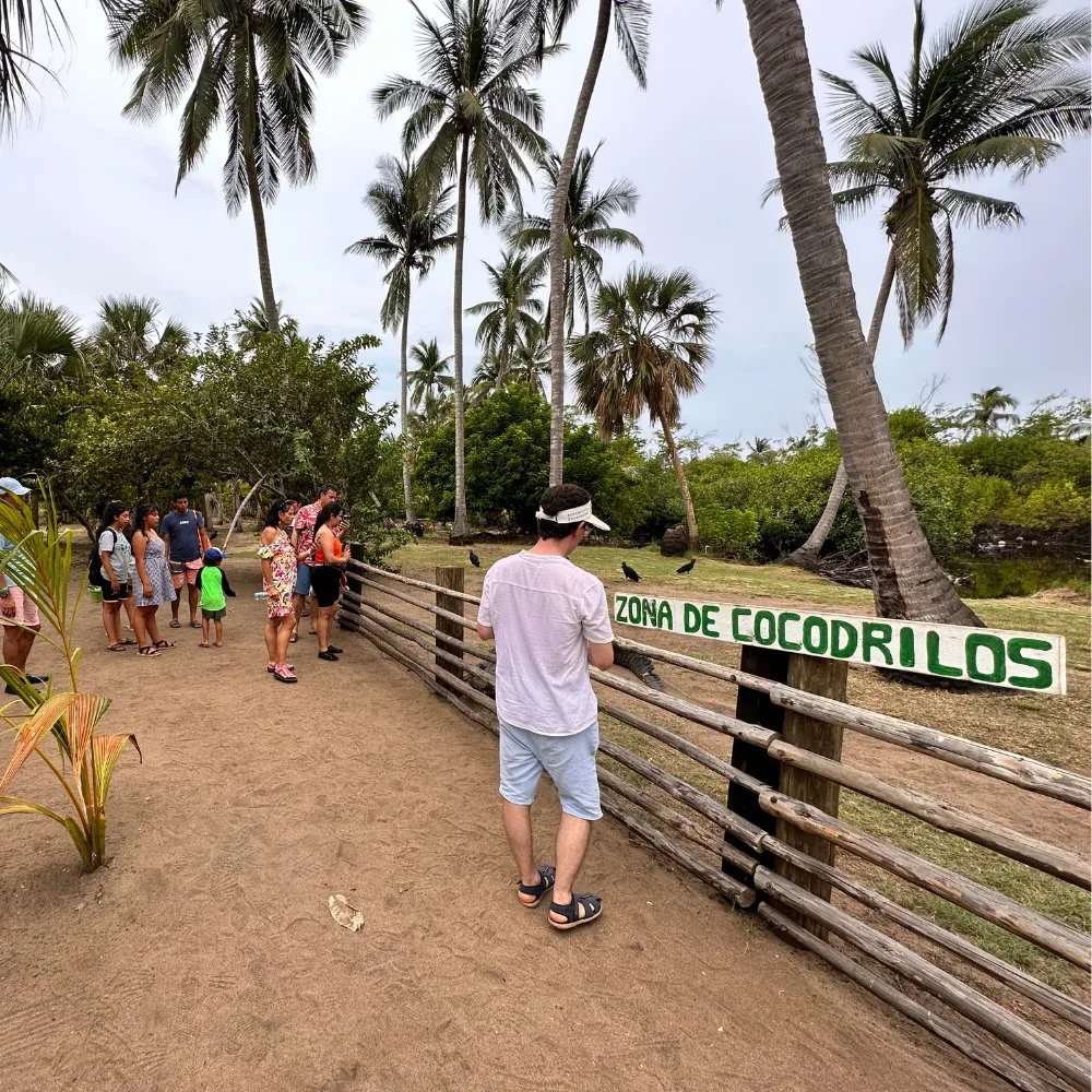 Ventanilla, Mazunte and Zipolite: Coastal Wildlife Ecotour — photo 1 of 20