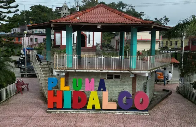 Coffee Route on a Pluma Hidalgo Farm