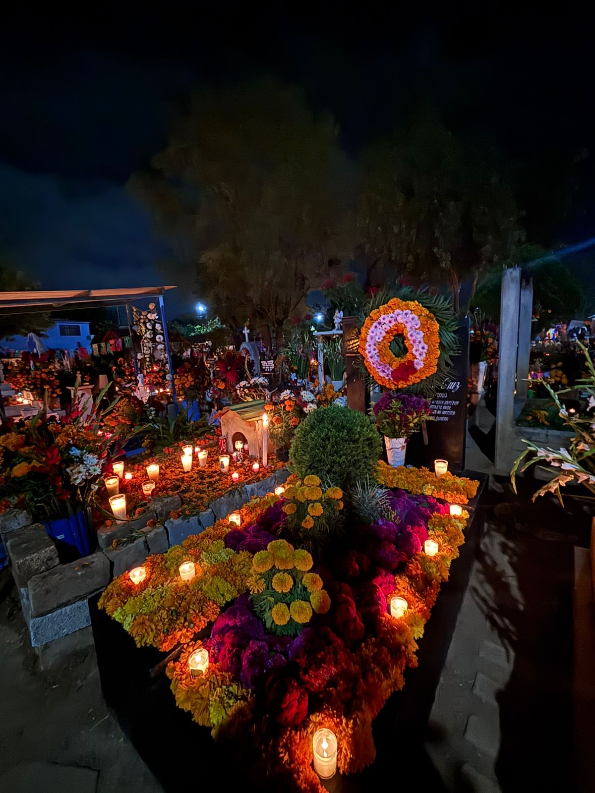 Day of the Dead in Oaxaca vs. Mexico City: Which Should You Choose?
